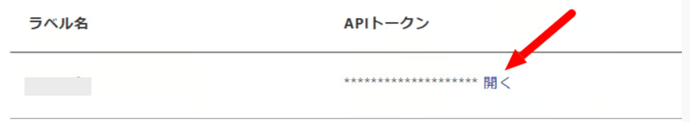 API token screen