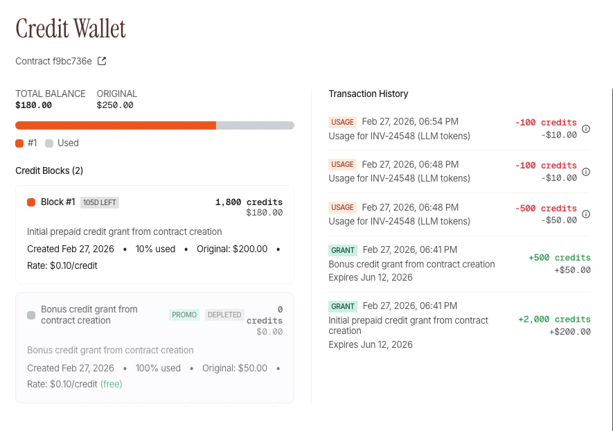 Credit Wallet showing total balance, credit blocks with PROMO and DEPLETED badges, and transaction history