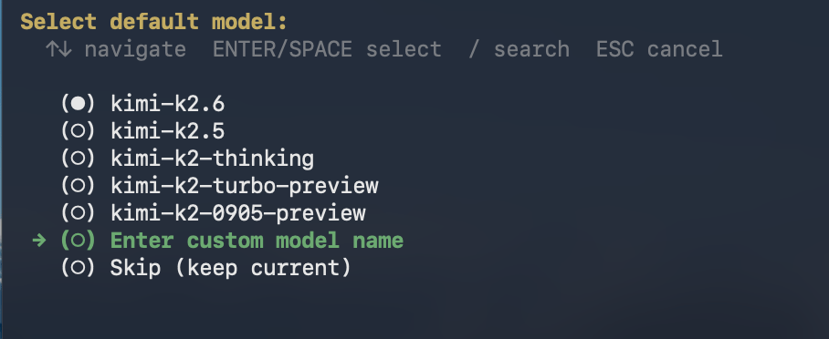 Choose to enter a custom model name