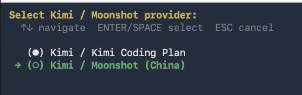选择中国区 Kimi Provider