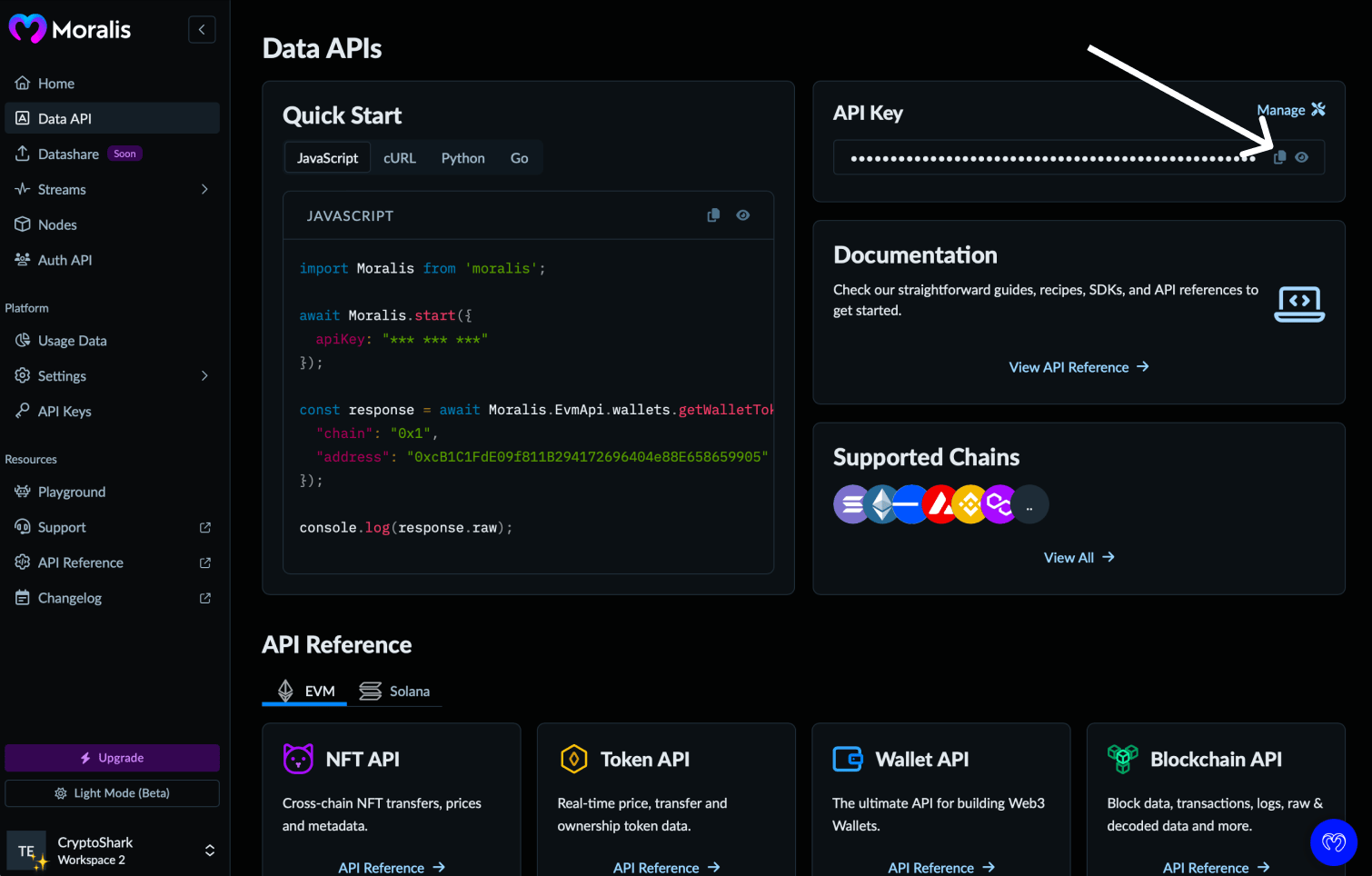 Get Your API Key - Moralis