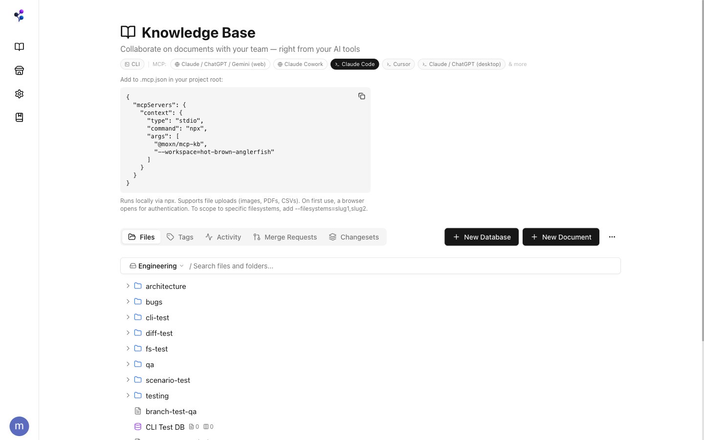 MCP Setup panel showing configuration