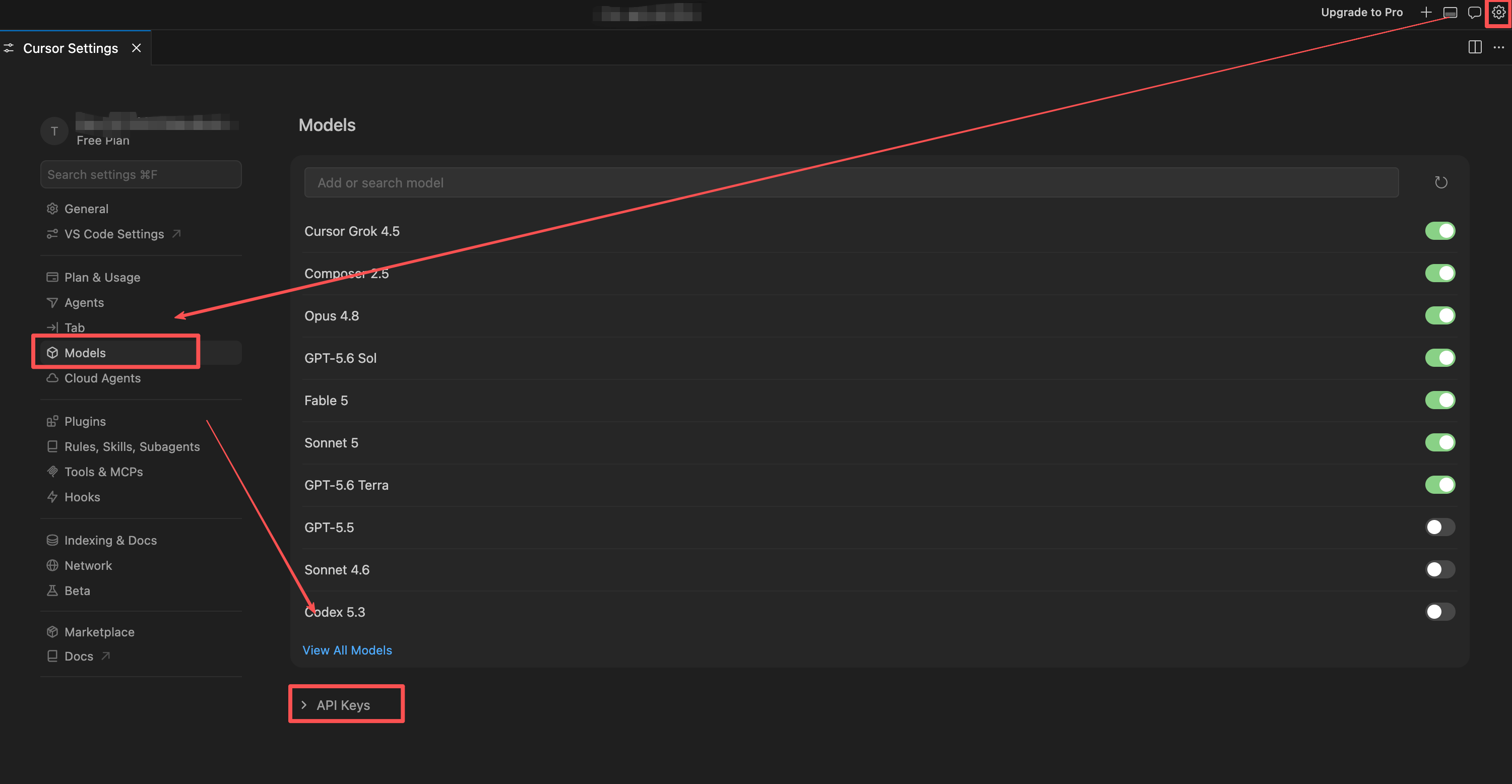 Cursor model settings entry