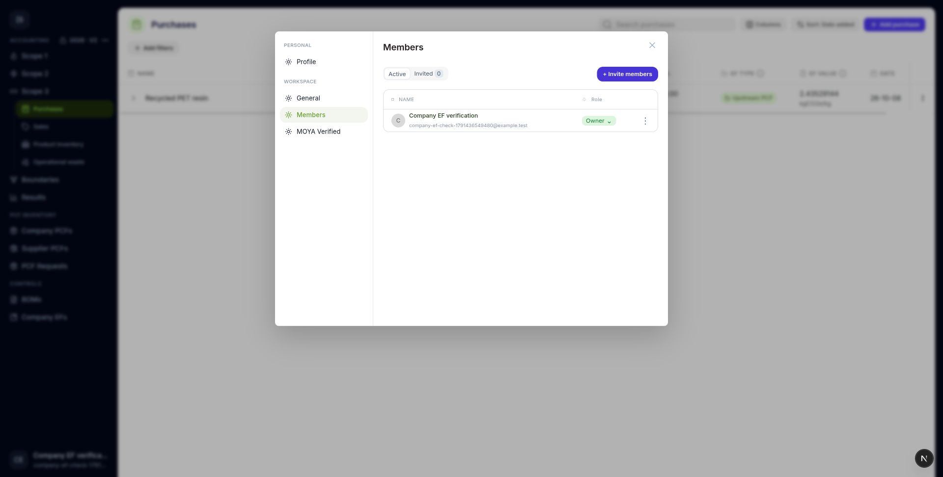 Manage active members and invitations in organization settings.