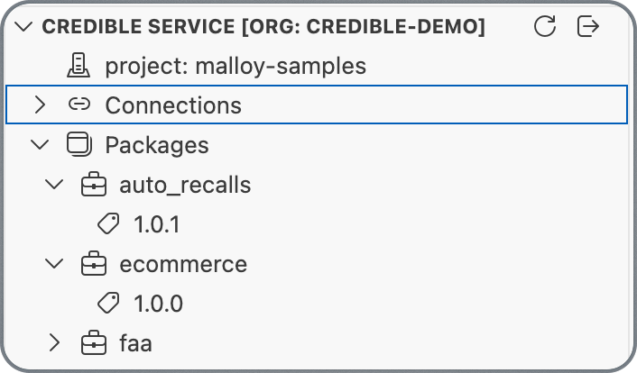 VS Code Service Panel showing package versions