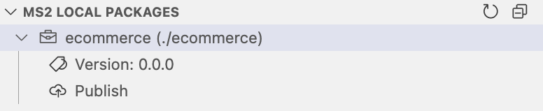 VS Code Local Packages Panel