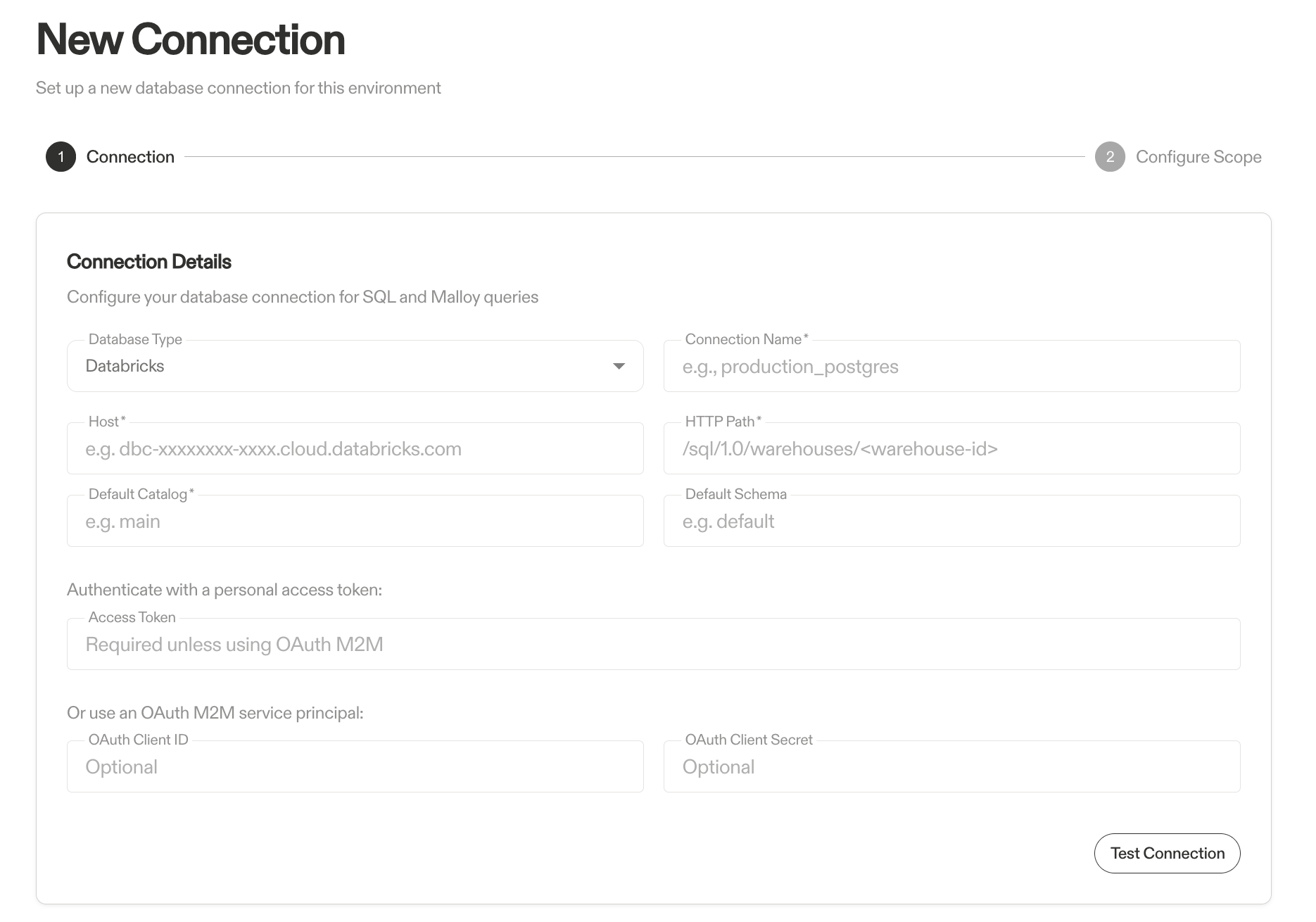 Databricks Connection