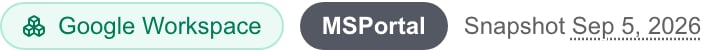 Google Workspace posture identifies MSPortal as its score source and shows the snapshot date.