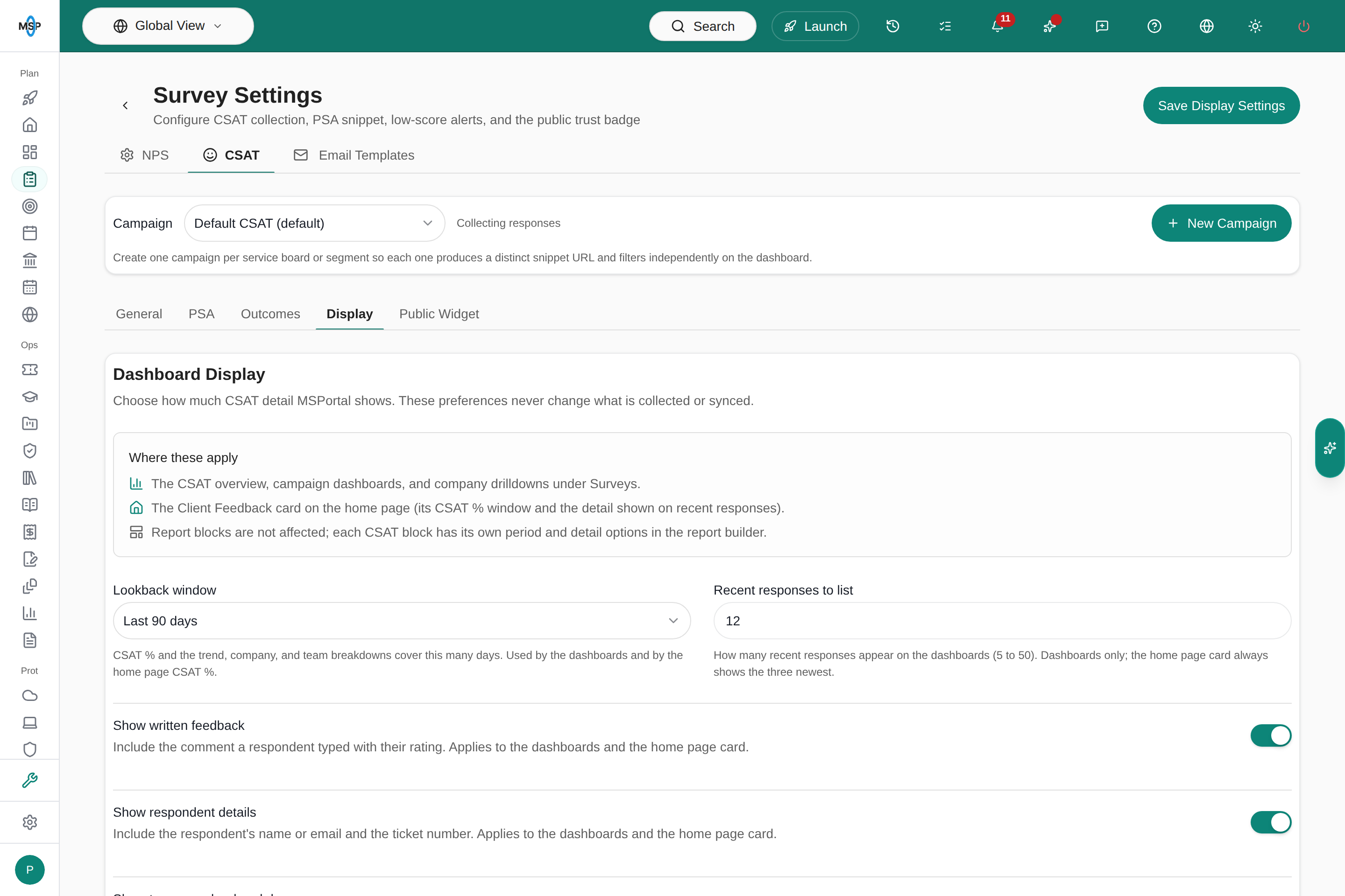 CSAT settings with Display selected and no Review tab while review access is off