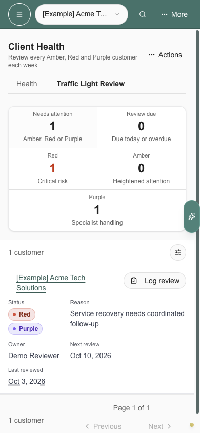 Company-scoped Traffic Light board on a phone with Red and Purple and Log review