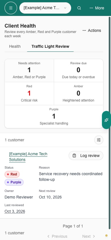 Company-scoped Traffic Light board on a phone with Red and Purple and Log review
