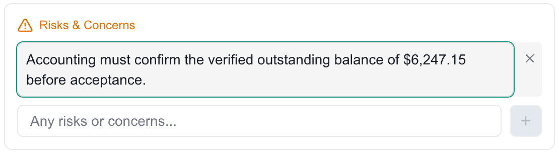 MSP Demo Risks & Concerns entry being edited in place to show a verified outstanding balance, with its delete control beside it