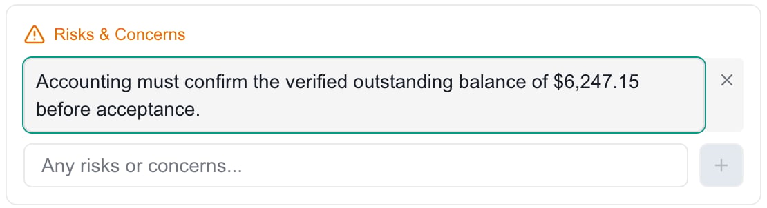 MSP Demo Risks & Concerns entry being edited in place to show a verified outstanding balance, with its delete control beside it