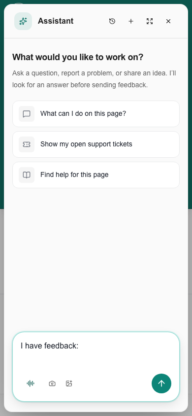 Phone assistant with I have feedback prefilled
