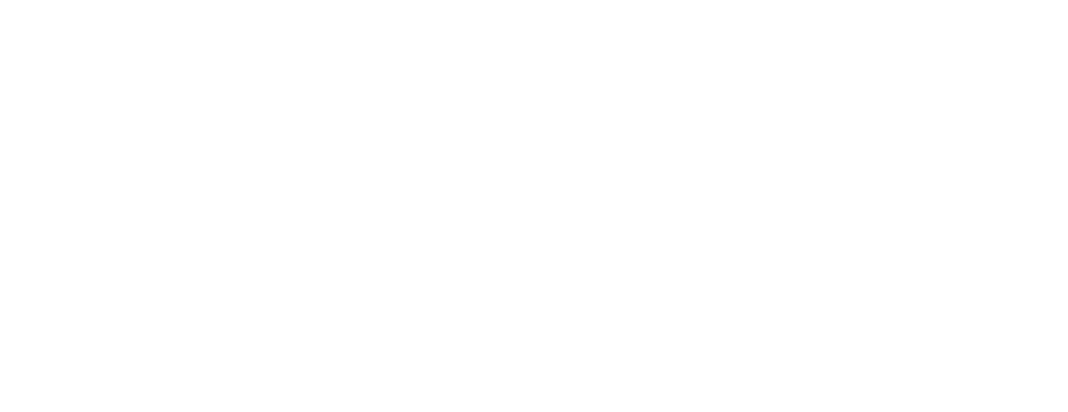light logo
