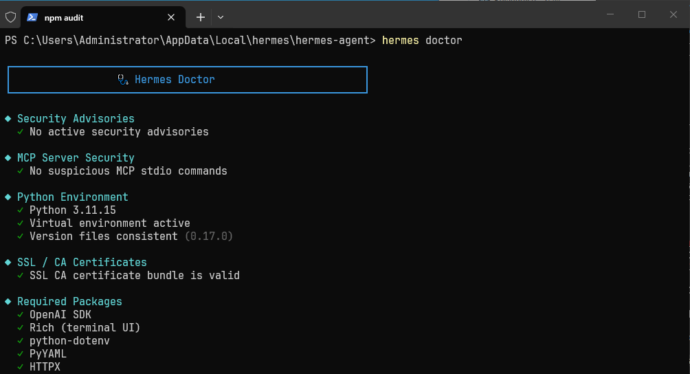 Windows 下 hermes doctor 环境检查结果