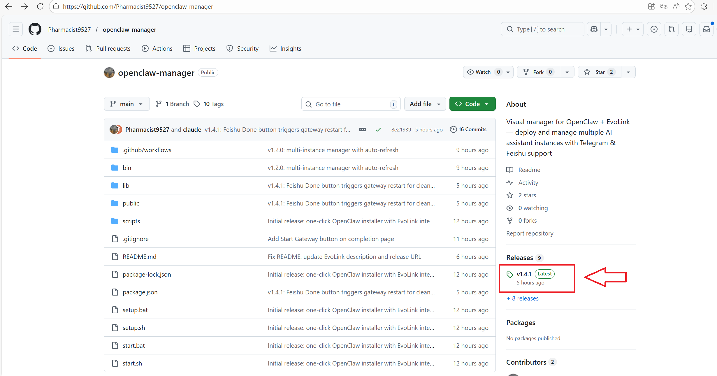 GitHub Releases page