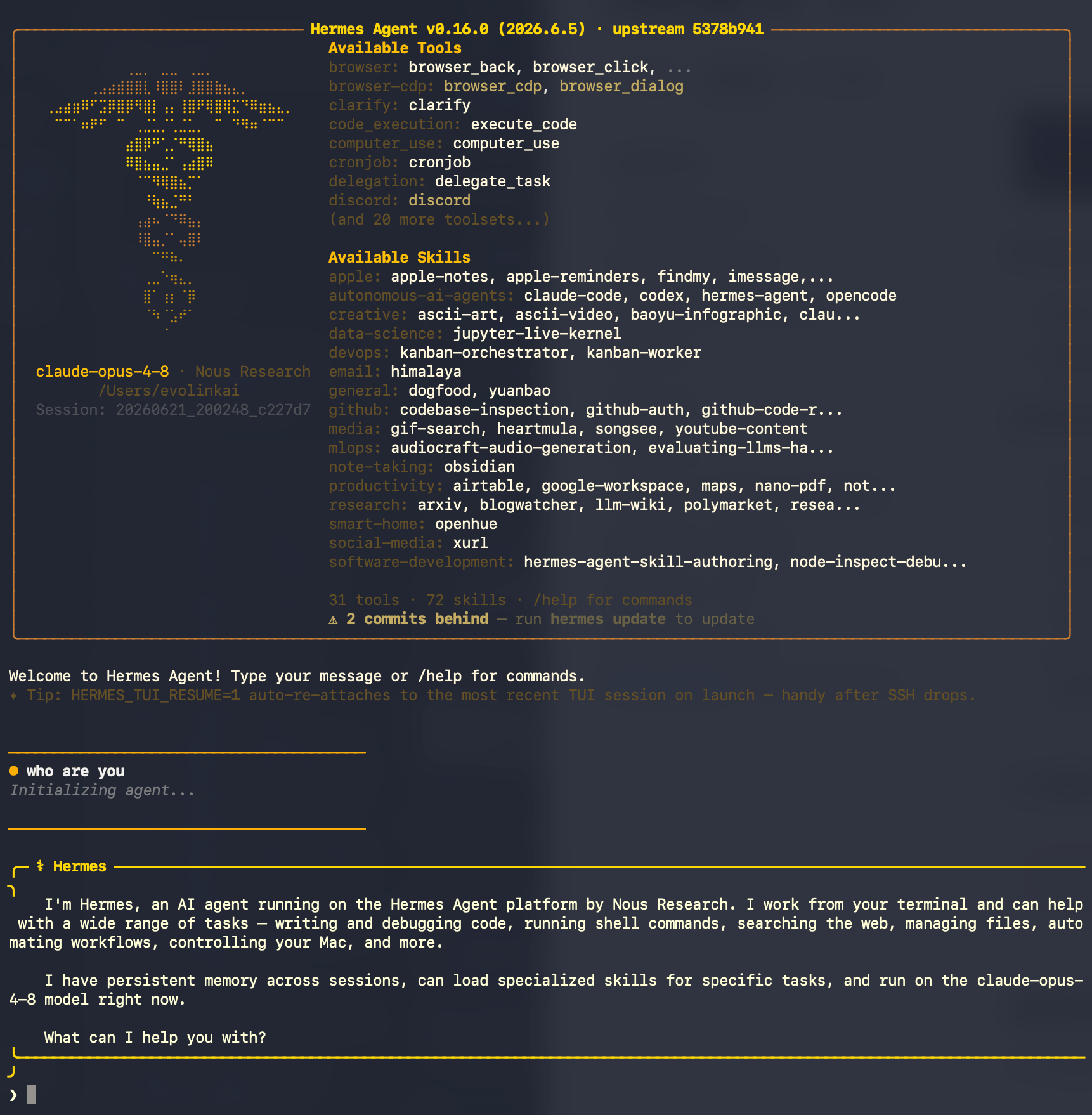 Hermes Agent replies normally, verifying successful configuration