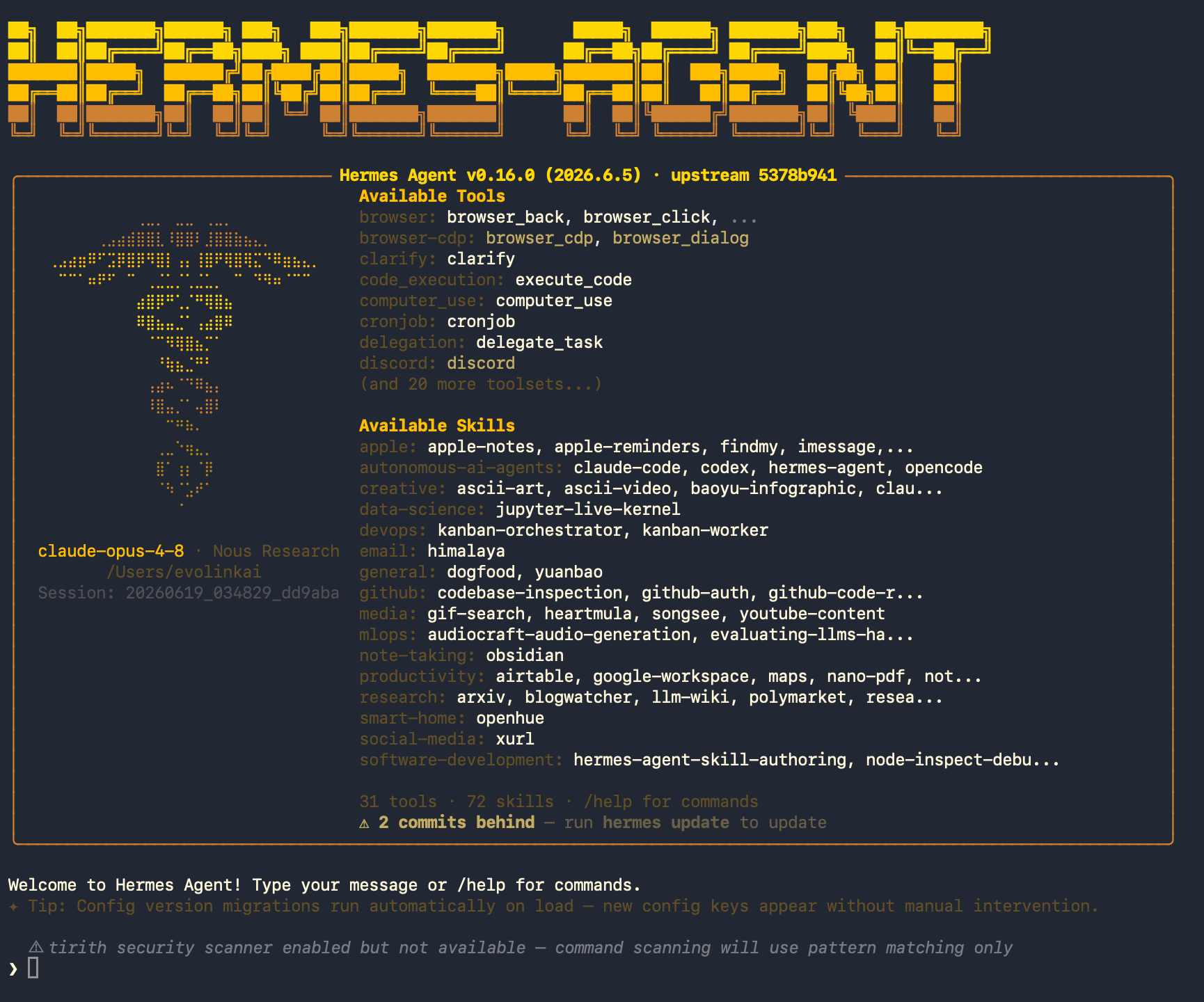 Hermes Agent interface