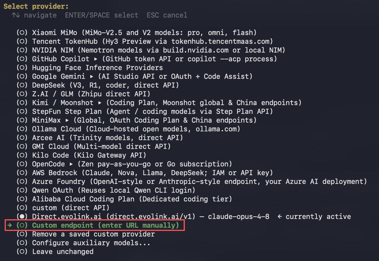 Selecting custom endpoint in the hermes model wizard