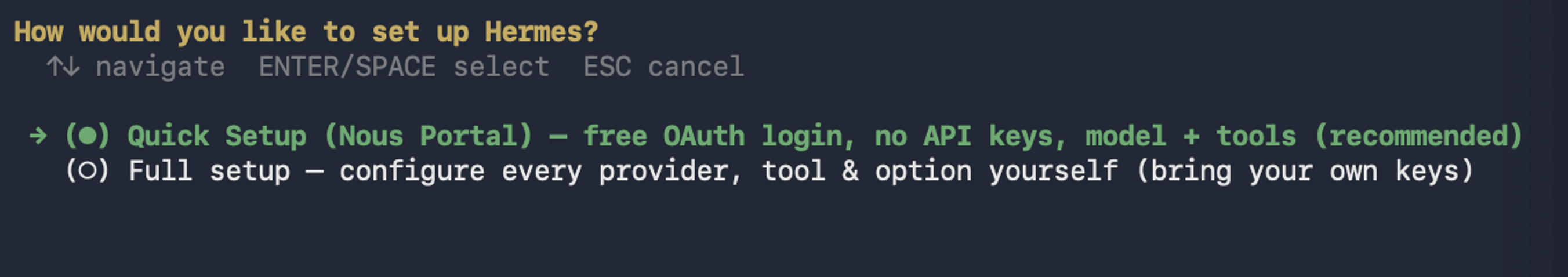 First launch: choose Quick Setup or Full setup