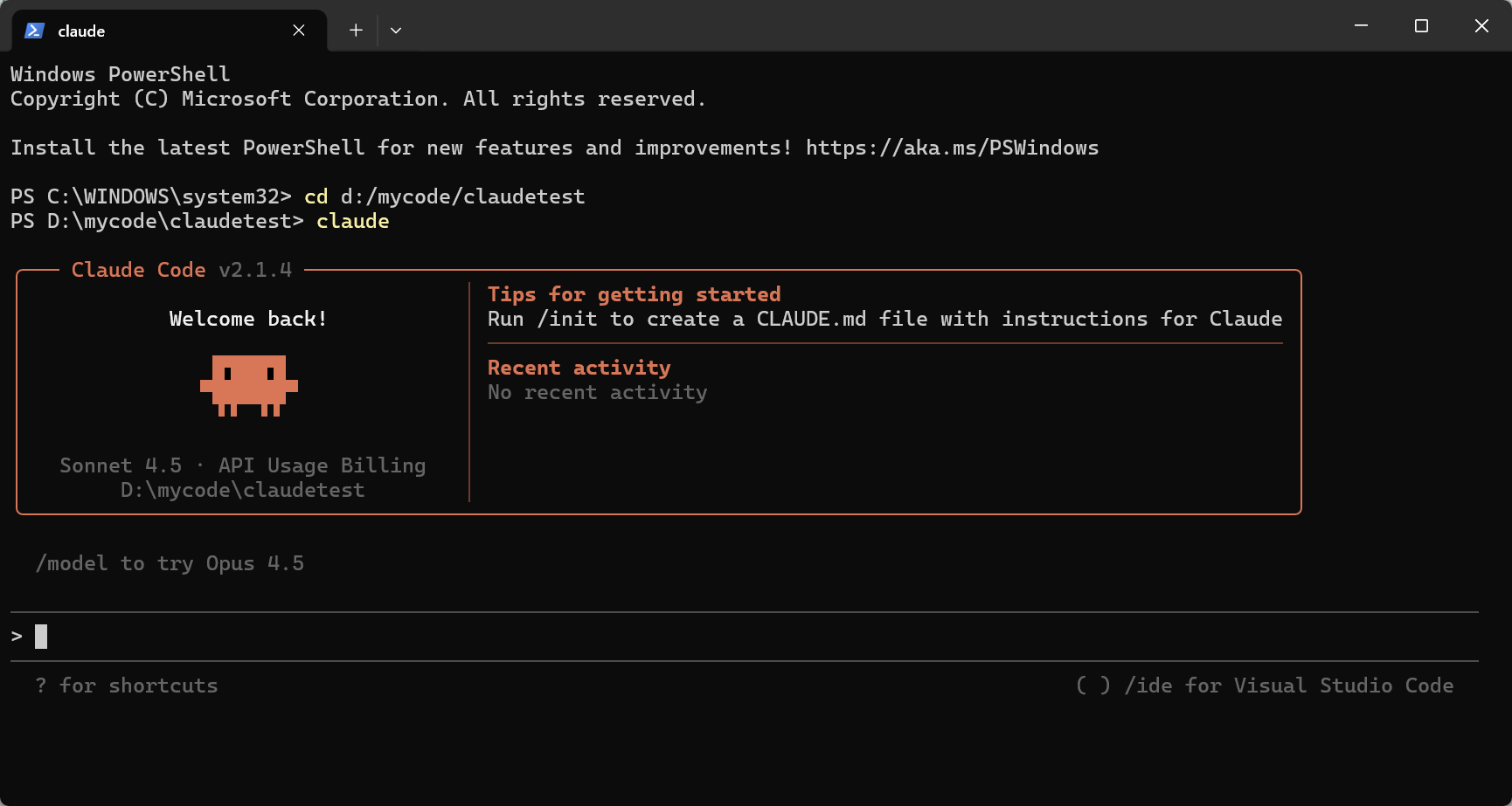 Claude CLI interface
