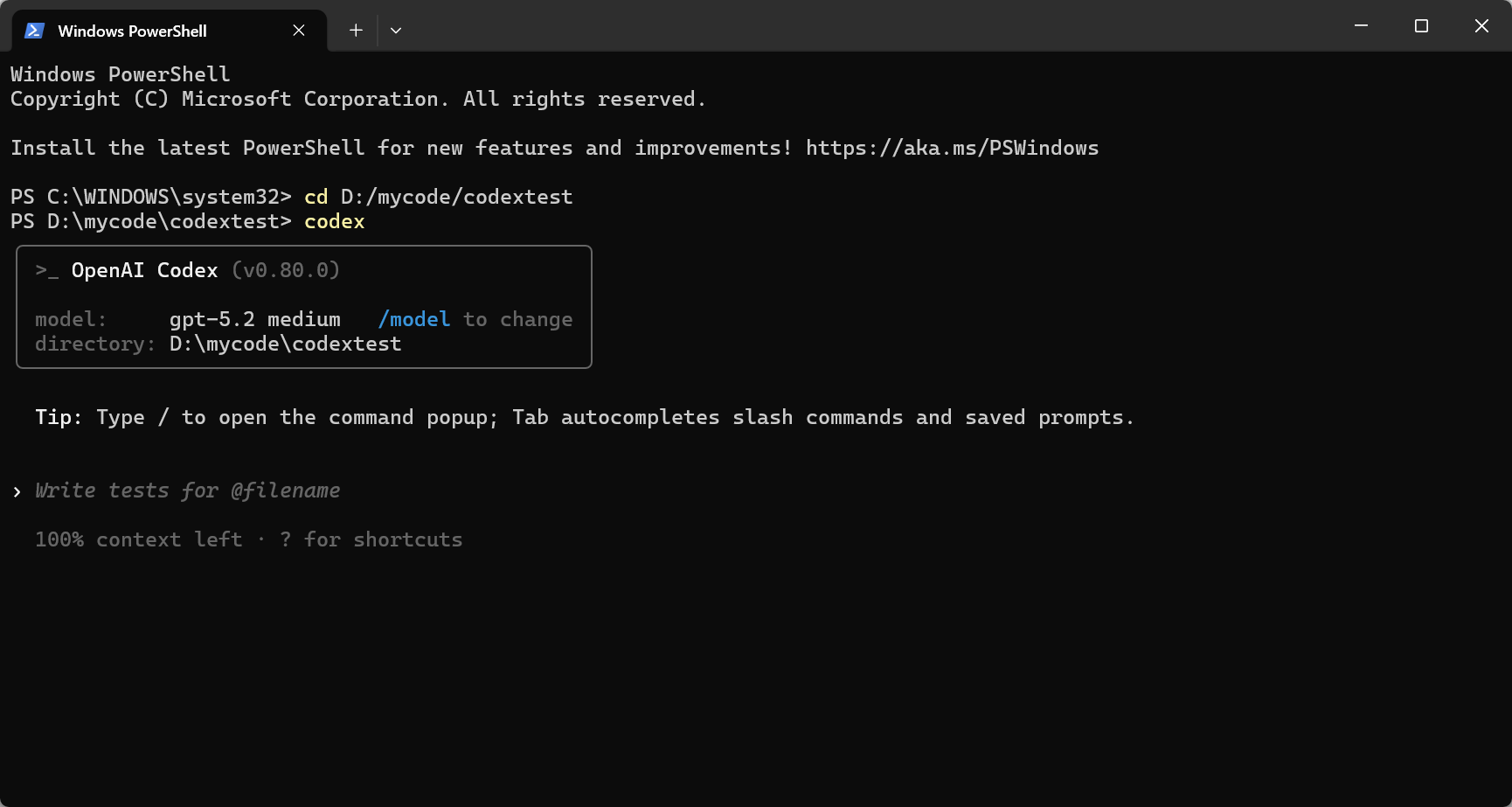 Codex CLI Interface