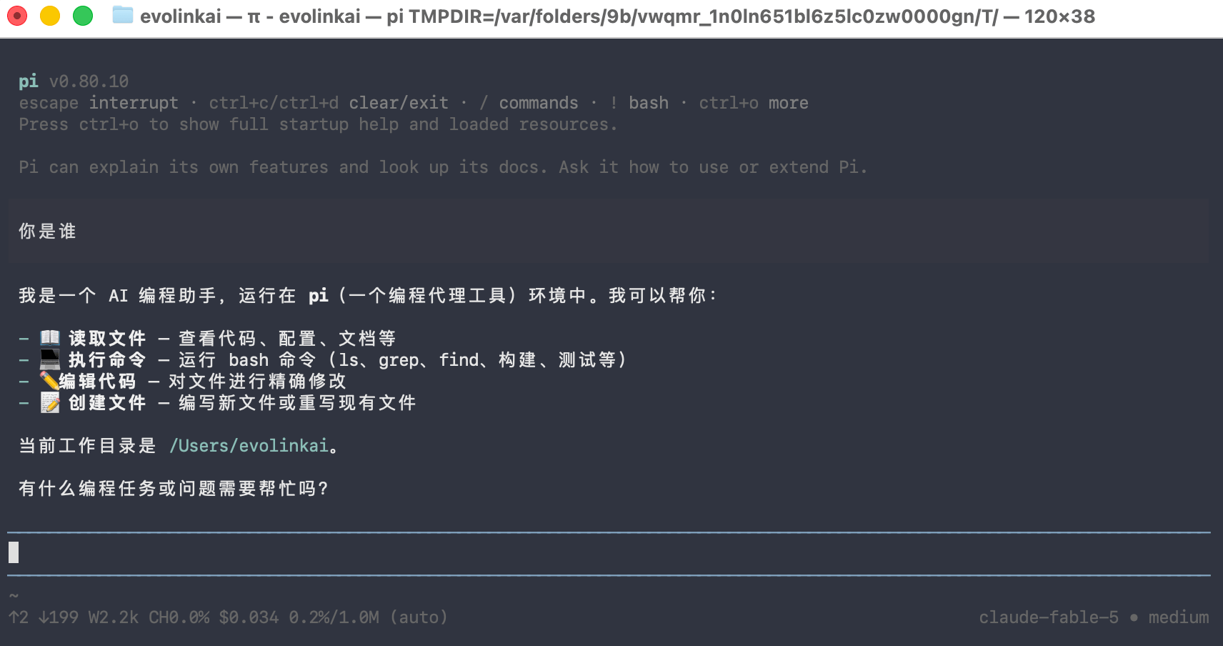 Pi 正常回复“你是谁”