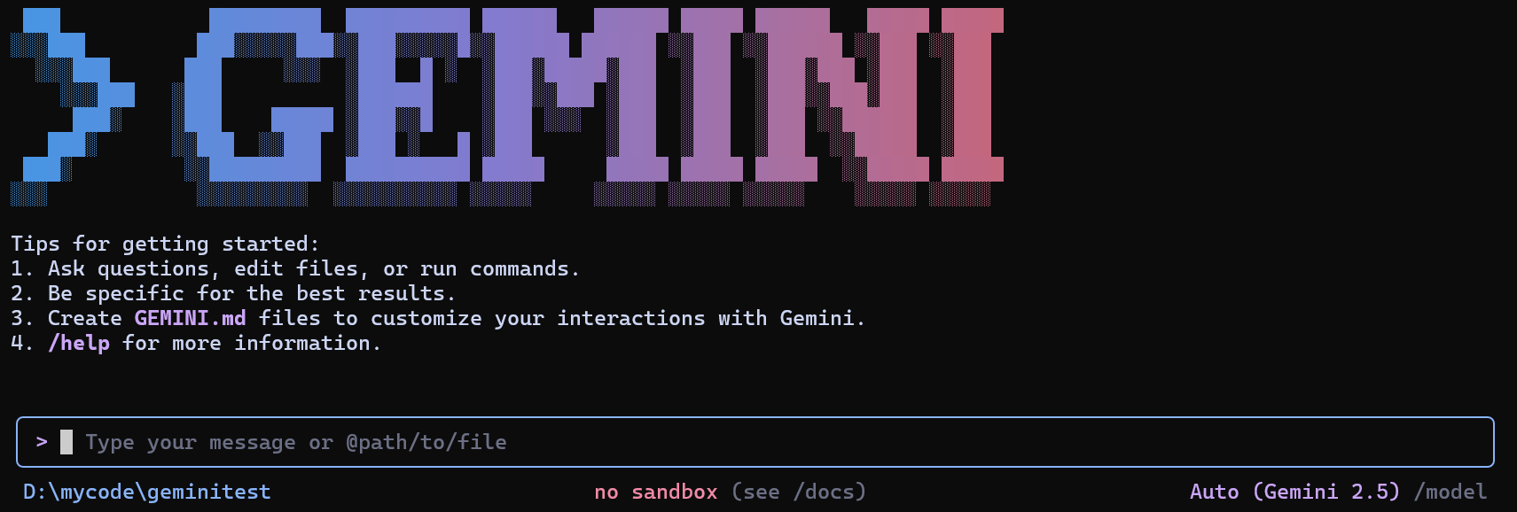Gemini CLI Interface