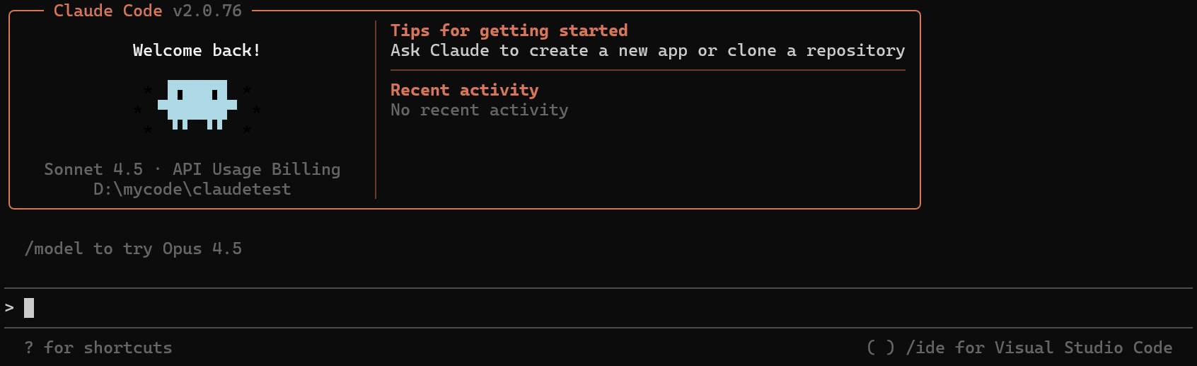 Claude CLI Interface