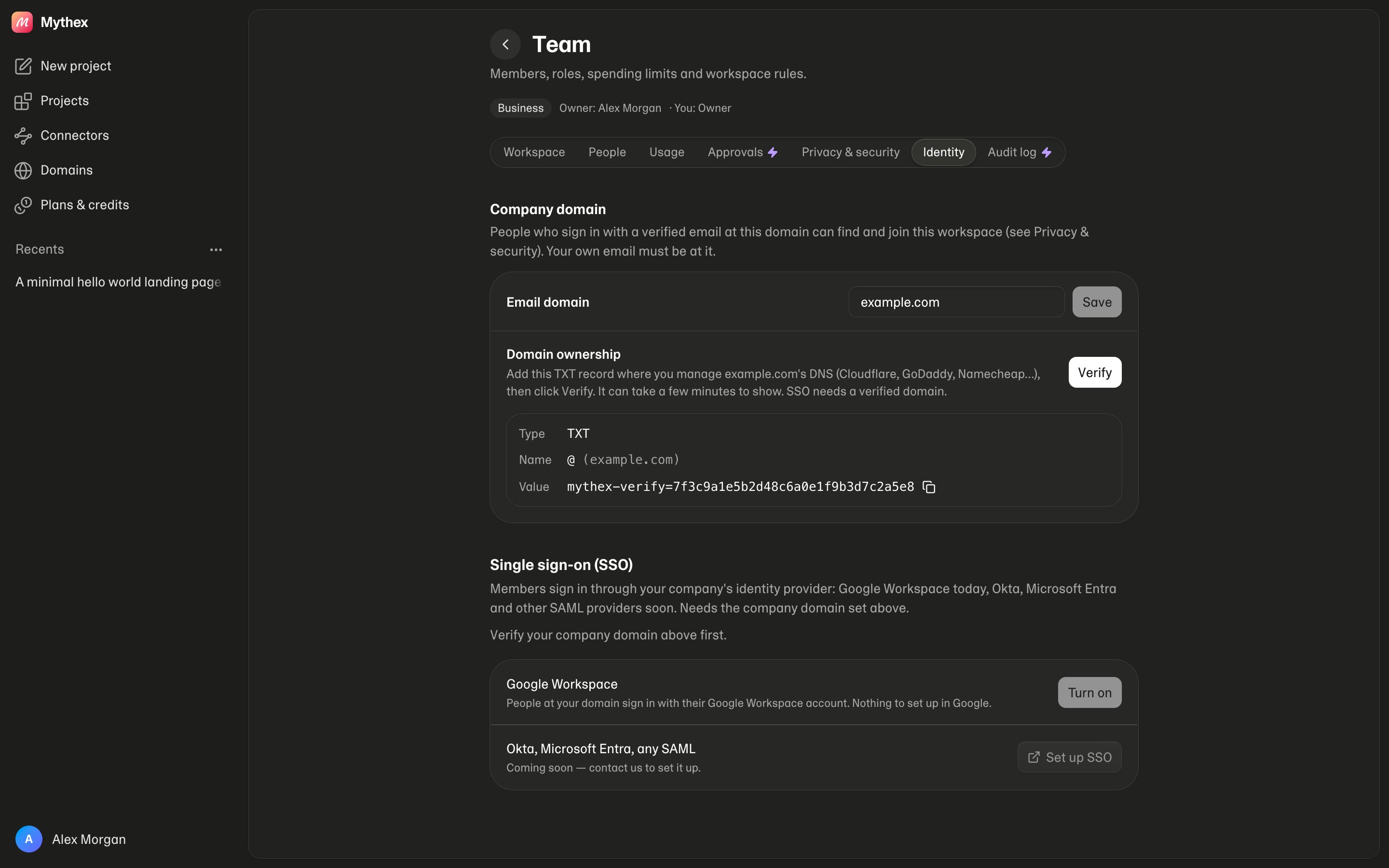 Team → Identity — the company domain, the TXT record to add with Verify, and SSO waiting for a verified domain