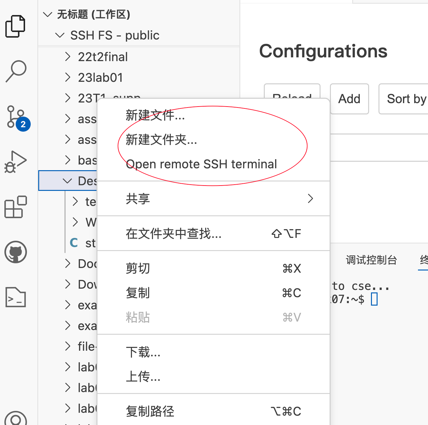 打开 CSE 远程 Terminal