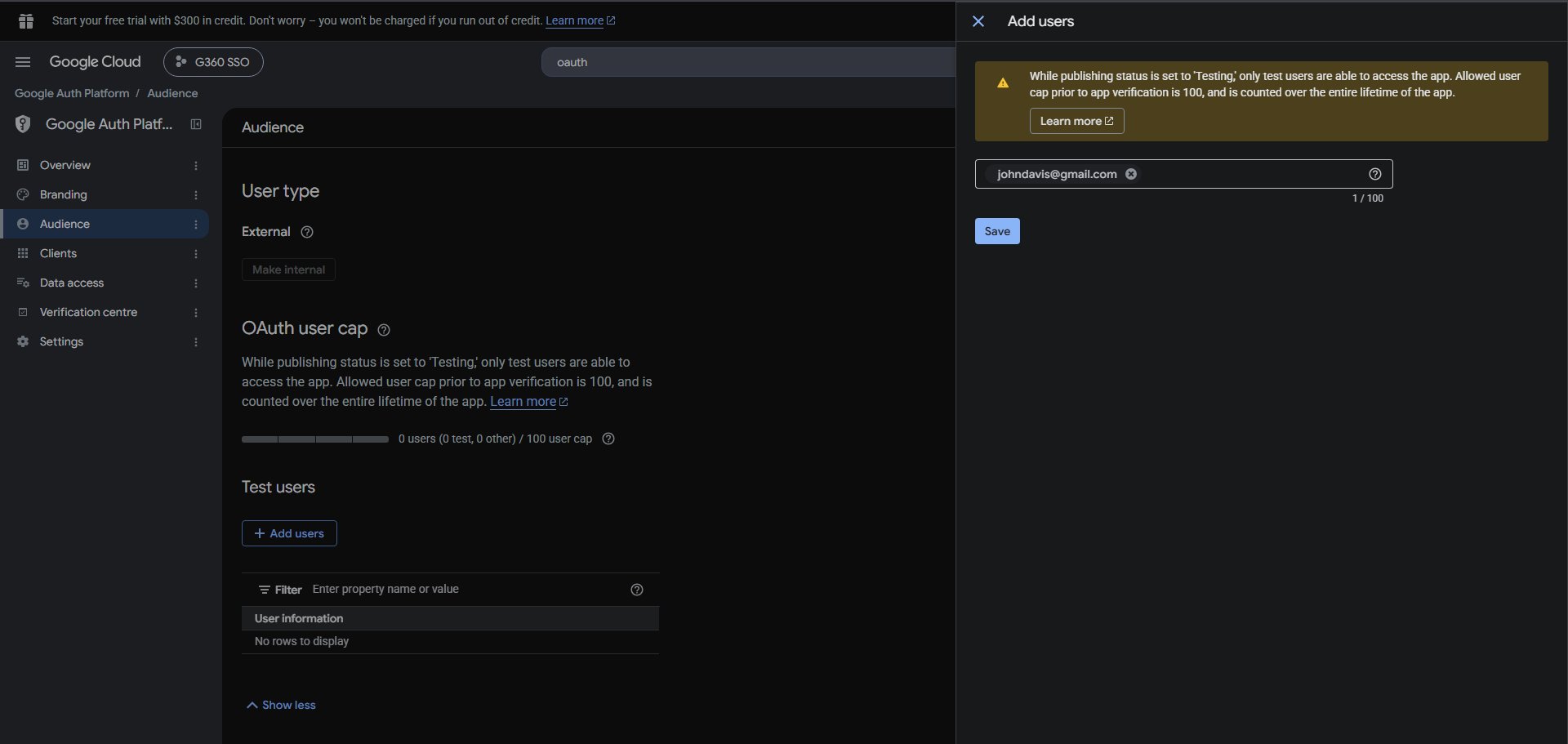 Google Auth Platform Add users panel with a test user email entered