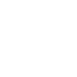 dark logo