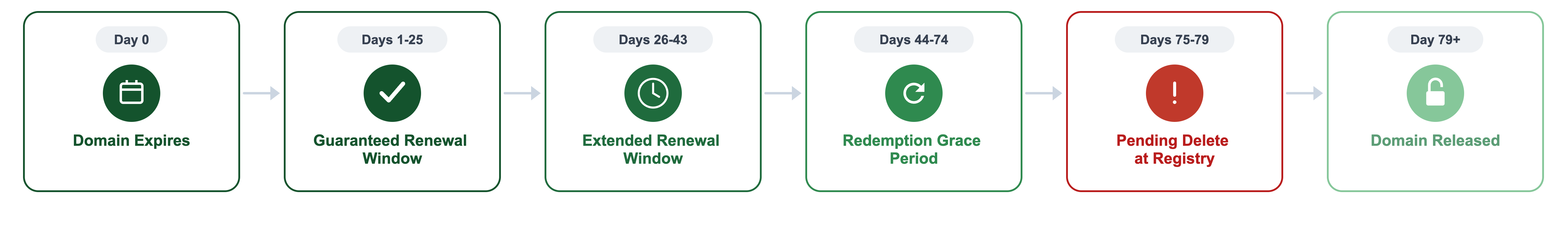 Domain Name Lifecycle