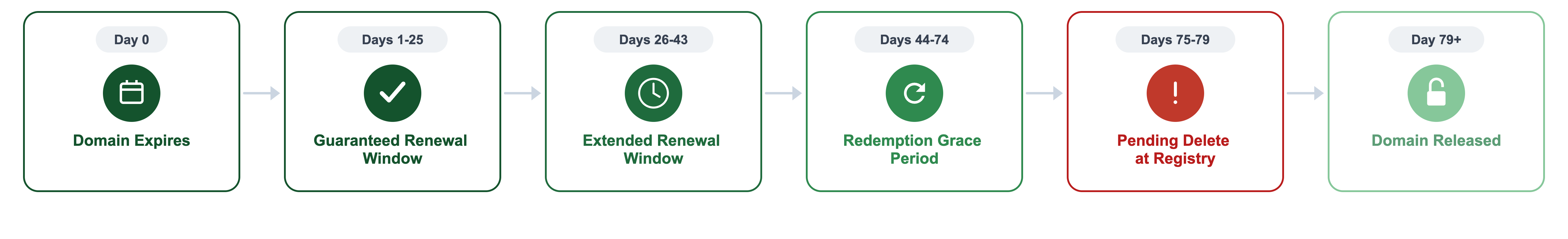 Domain Name Lifecycle