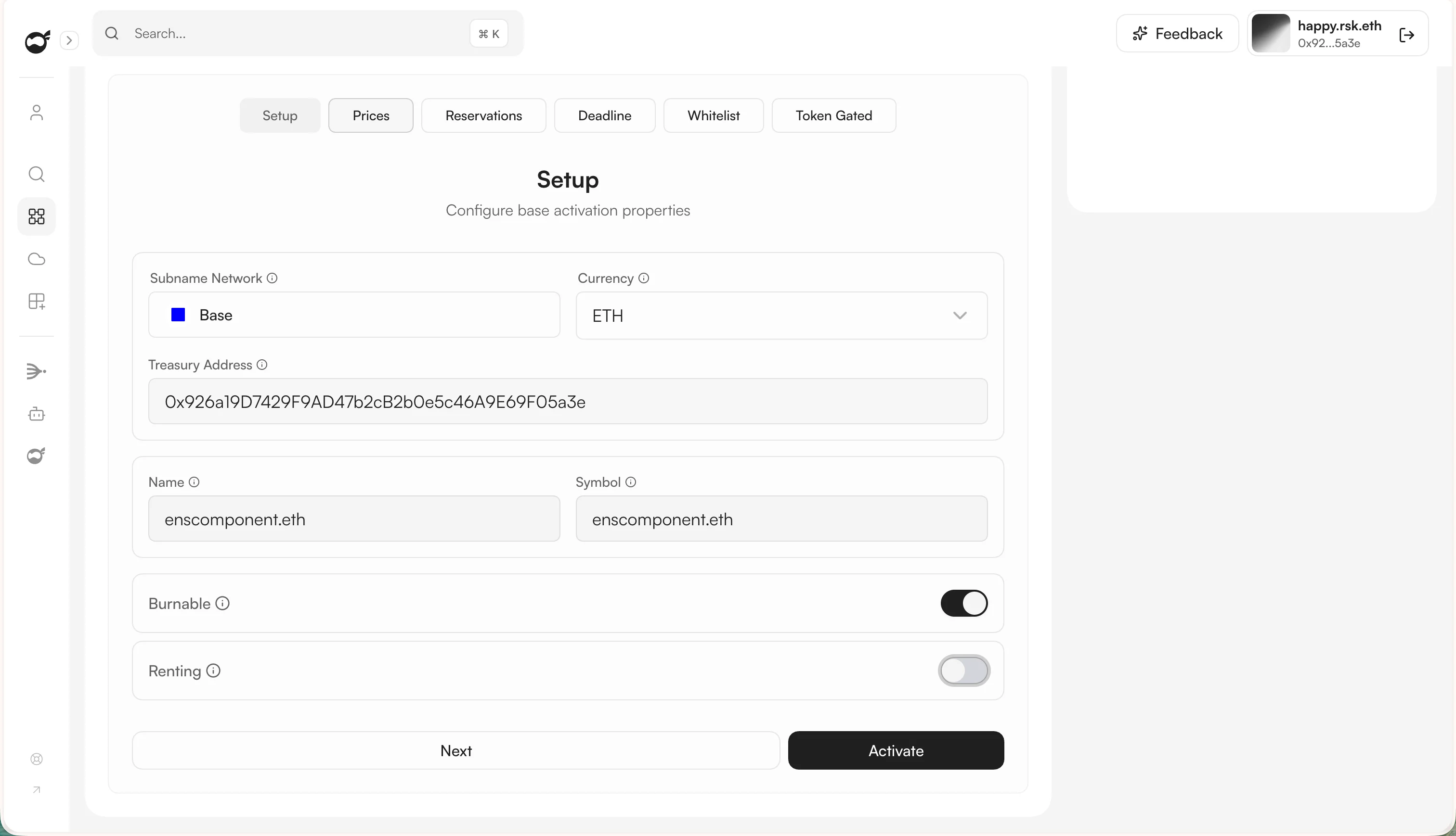 Setup tab — currency, treasury, name, symbol, burnable, renting