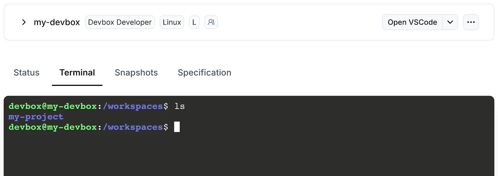 The Terminal tab of a Devbox in the Namespace dashboard, showing a shell prompt in the workspace directory