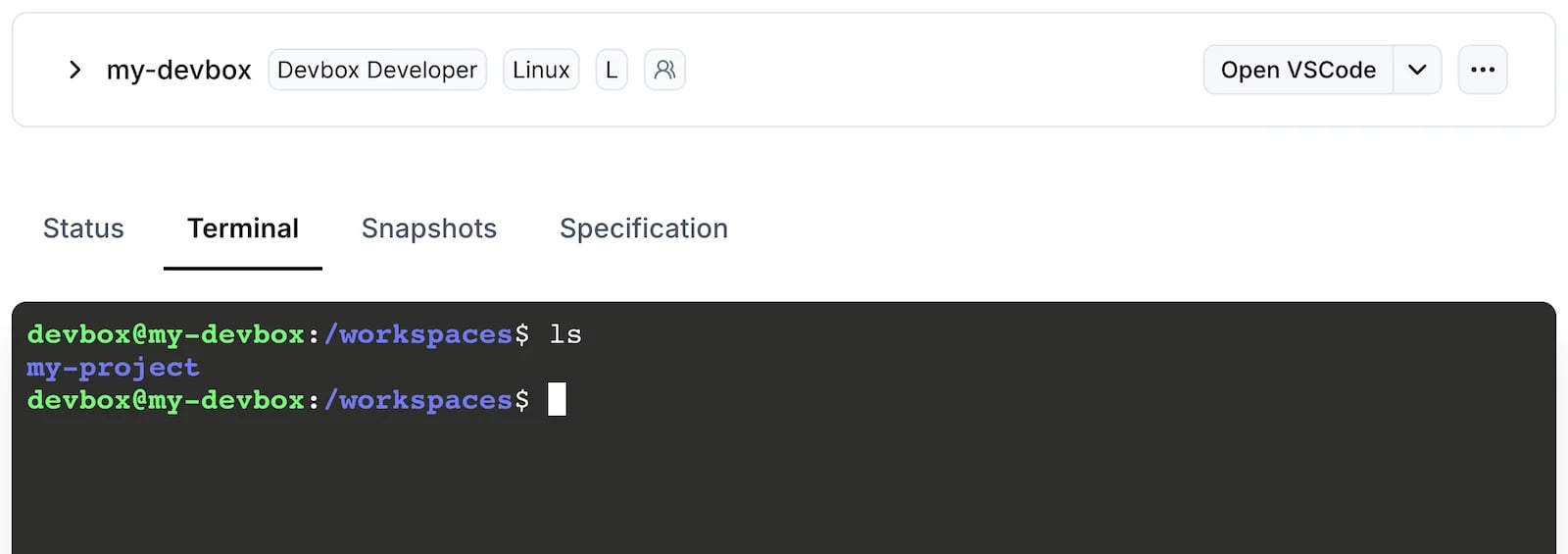 The Terminal tab of a Devbox in the Namespace dashboard, showing a shell prompt in the workspace directory
