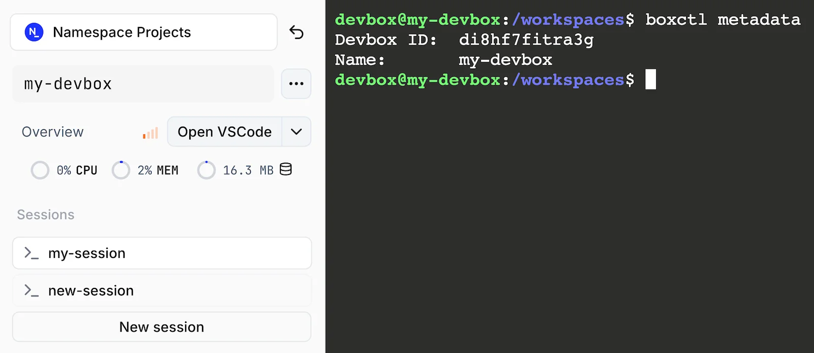 A connected session showing a shell prompt inside the Devbox, next to the Sessions sidebar