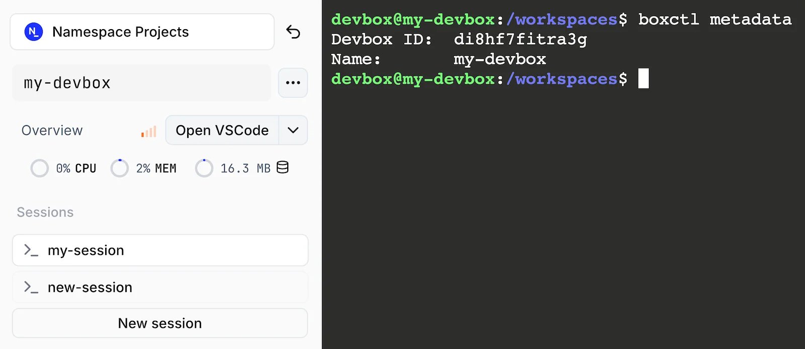 A connected session showing a shell prompt inside the Devbox, next to the Sessions sidebar
