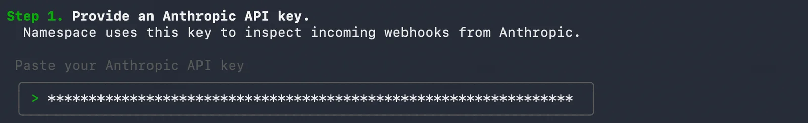 Provide Anthropic API Key