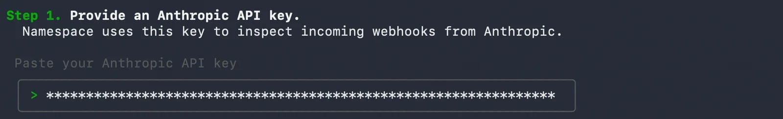 Provide Anthropic API Key