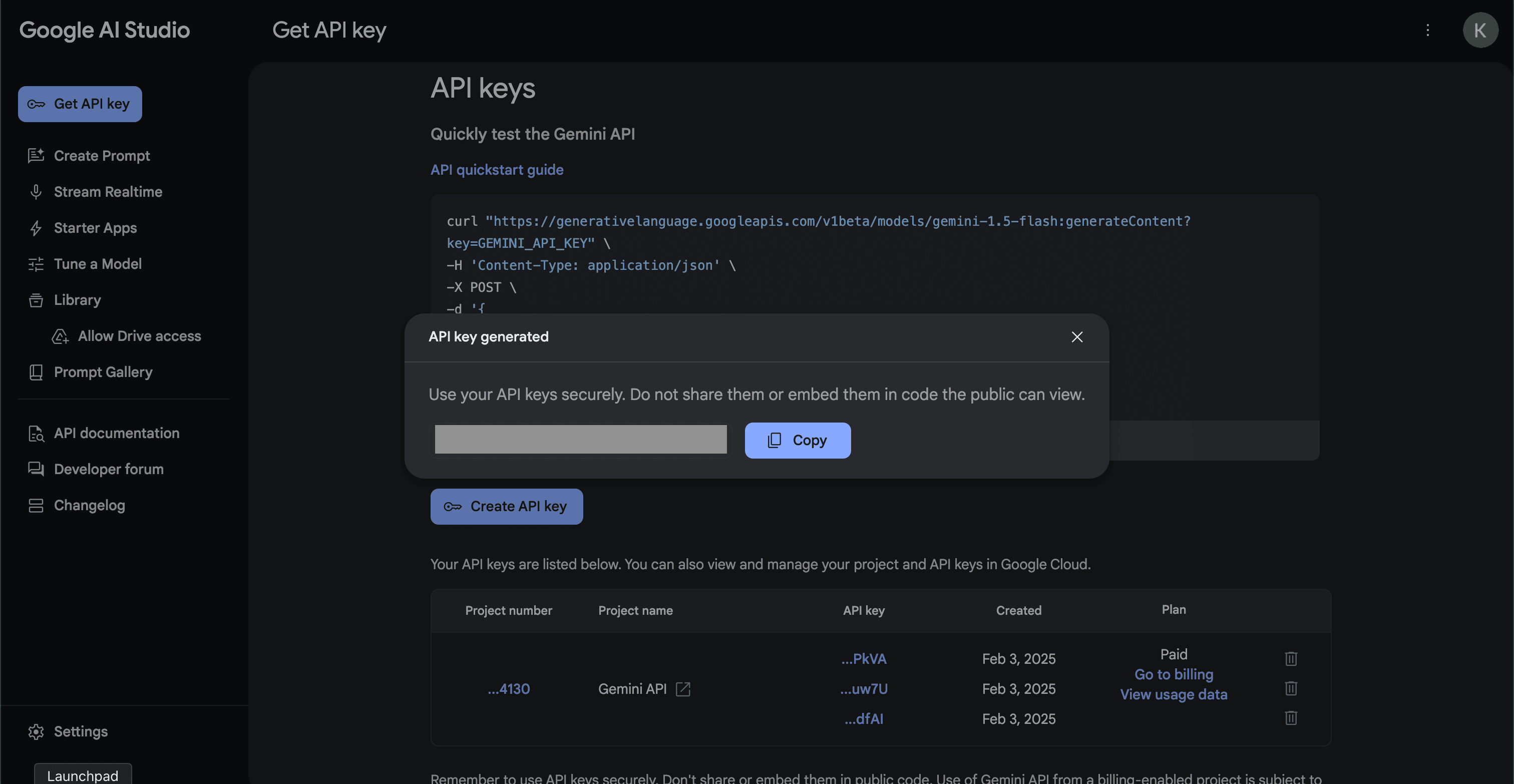 Generated API key displayed in Google AI Studio