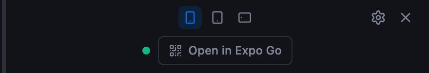 The preview panel header controls