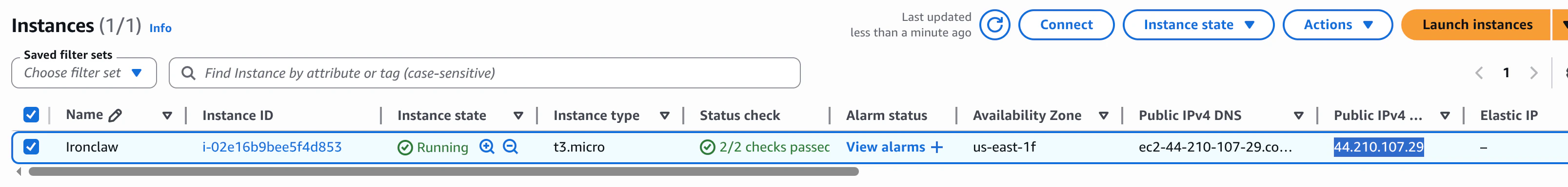 EC2 实例 IP 地址