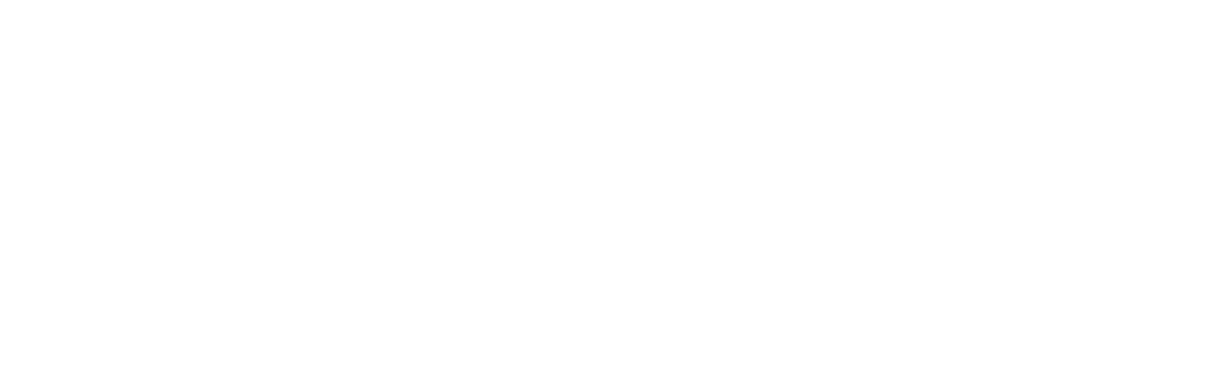 dark logo