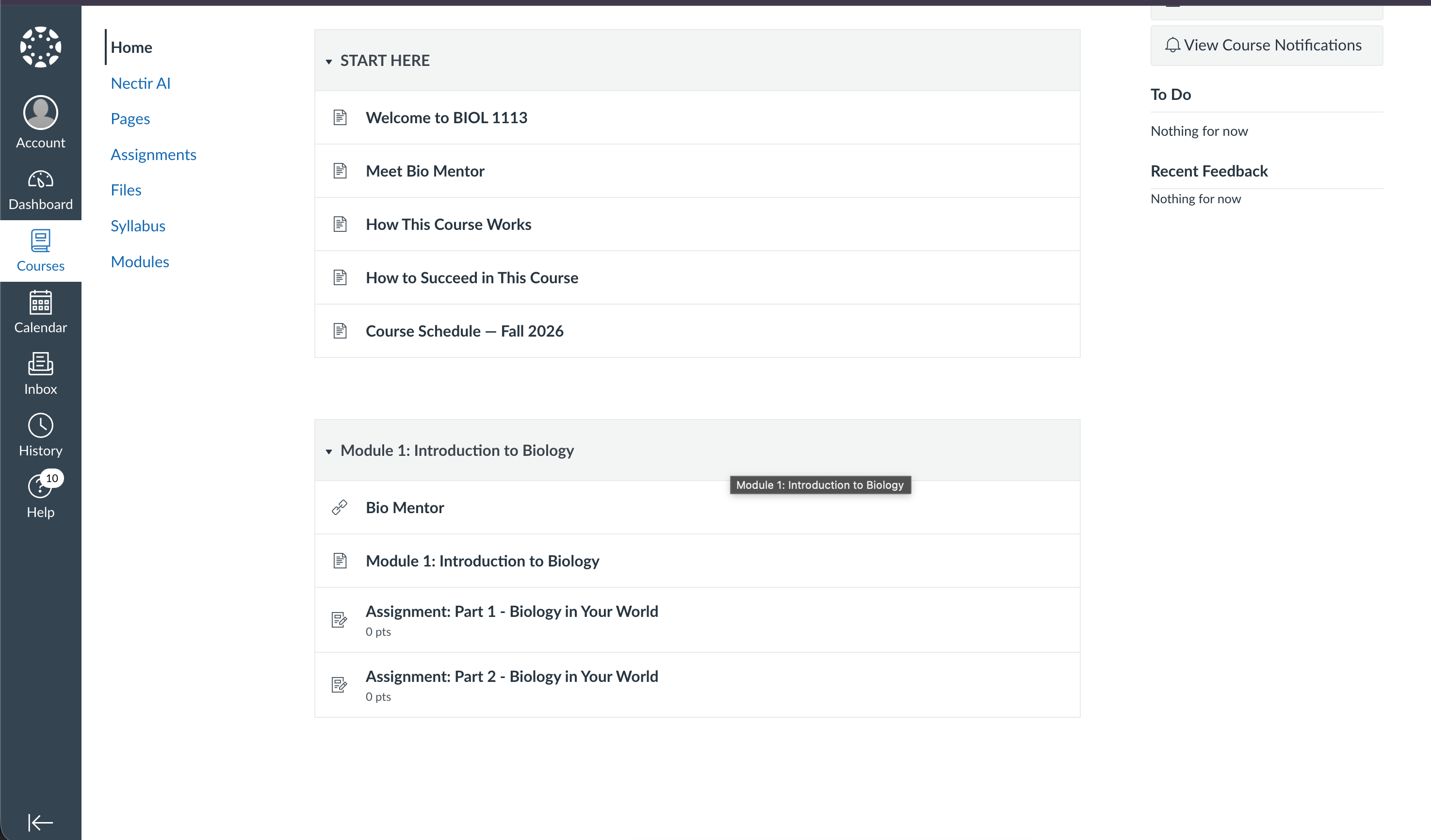 Canvas Modules page with a Nectir AI Assistant added as a module item that students can click to launch the Assistant in full view
