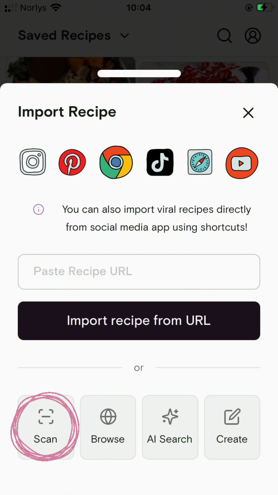 Souschef import screen with the Scan option highlighted