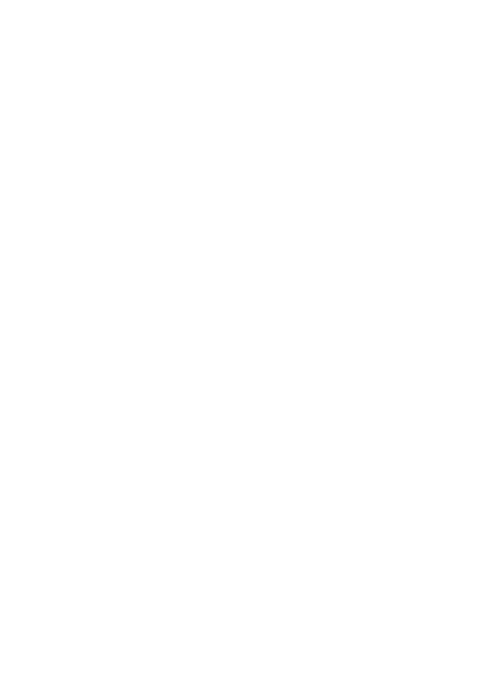 light logo